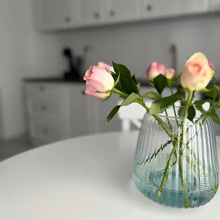 Apartman Garsoniera La Doi Pasi De Mare *
